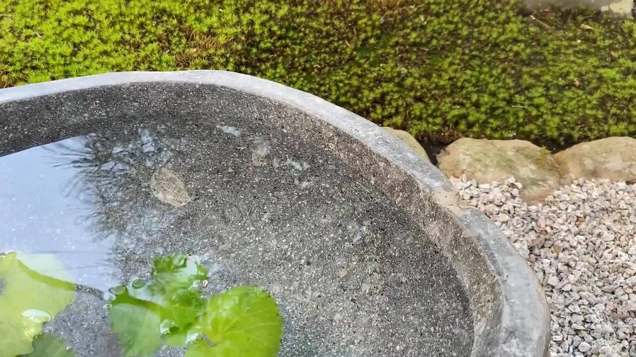 水鉢 水盤 金魚鉢 塞き止め