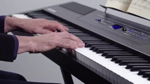 楽天市場】Alesis 88鍵盤 電子ピアノ ハンマーアクション鍵盤 Recital