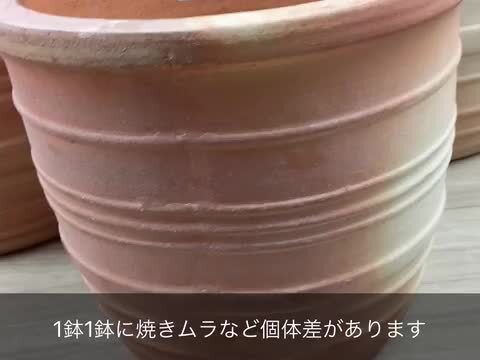 楽天市場】訳あり 植木鉢 横ライン 素焼き鉢 テラコッタ 鉢 大