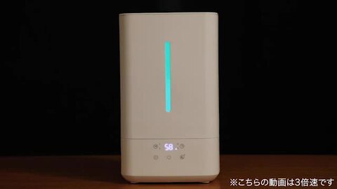 楽天市場】＼ 半額 ＆5％オフ ／ 8/4 18時～☆ 1年保証 加湿器