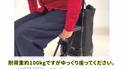 東京デリカオリジナル 座面付き(L21)ブラック SWANY（キャリーバック） スワニー ショッピングキャリー 当社