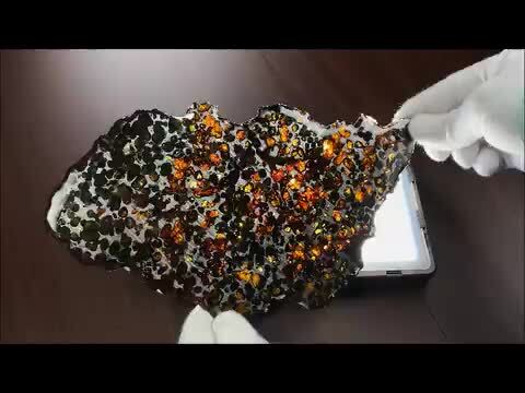 楽天市場】パラサイト隕石 原石 スライス 239.9g 石鉄隕石 隕石