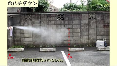 【新品・未使用(未開封)】業務用・巣処理用　ハチノックL 6本セット 業務用・巣処理用ハチノックL 1本(300mL) 住化エンバイロ