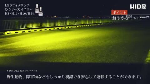 楽天市場】【年末年始も配送可能】HID屋 H11 LED フォグ バルブ形式を