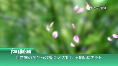 楽天市場】U字型 抱き枕 フォスフレイクス コンフォート ユー
