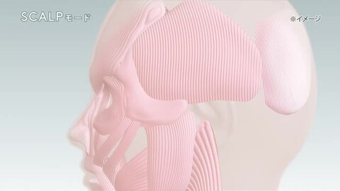 ラスト1台！美顔器、肌再生＆しみケア＆プラズマ8点セット NIPLUX 美顔の秘訣は頭筋から 電気ブラシ 美顔器 EMS LIFT BRUSH