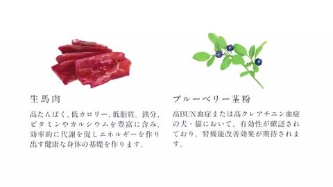 楽天市場】【 プレミアム ドッグフード 】DOZO 700g×3袋