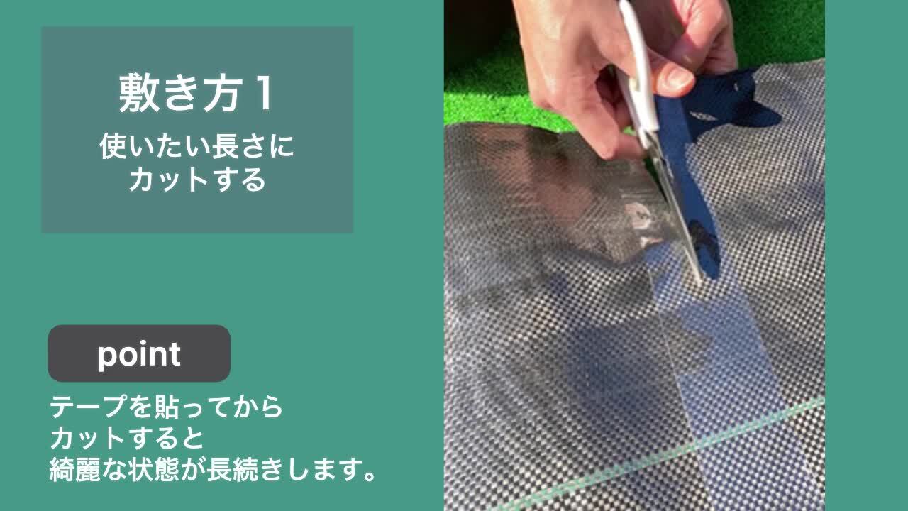 アシモクラフツ×ネルデザインワークス 10周年記念 スリーク フルカラー アシモクラフツ×ネルデザインワークス 10周年記念 スリーク