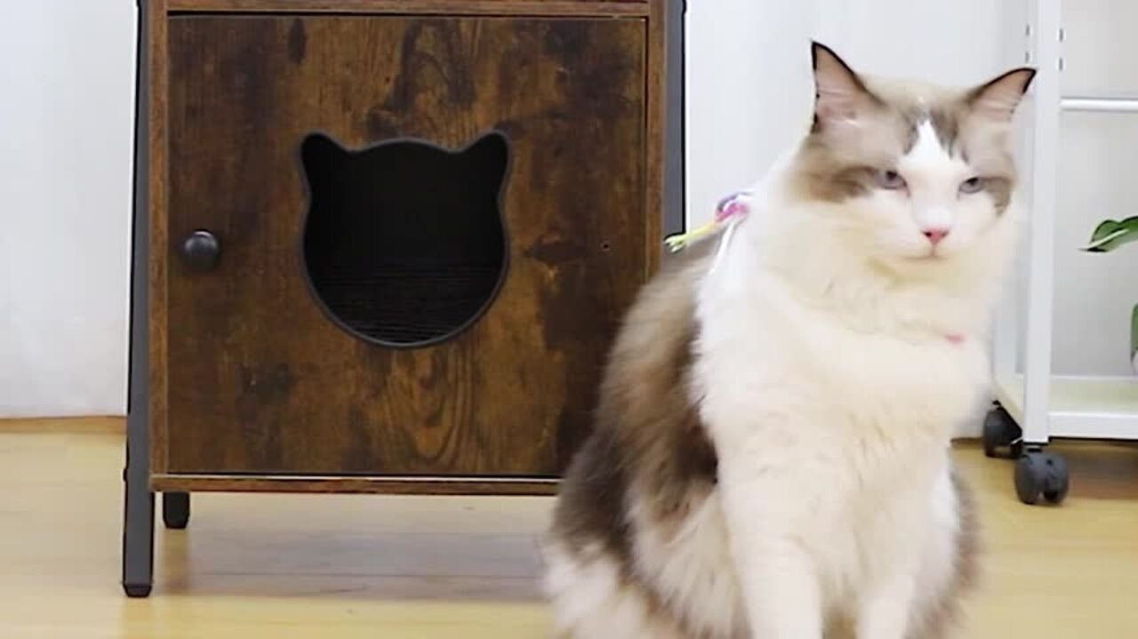楽天市場】Iseebiz サイドテーブル 30cm ナイトテーブル 猫