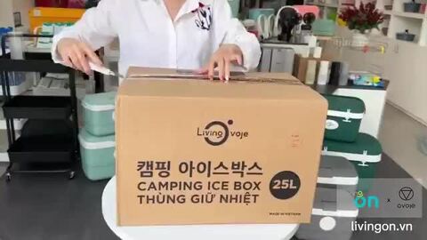 楽天市場】【在庫有り】クーラーボックス 小型 LIVING OVOJE