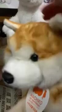 トレンドマスター なでなでワンちゃんHACHI EXコミュニケーションロボ 楽天市場】なでなでワンちゃん秋田犬HACHI-EX 犬 ぬいぐるみ