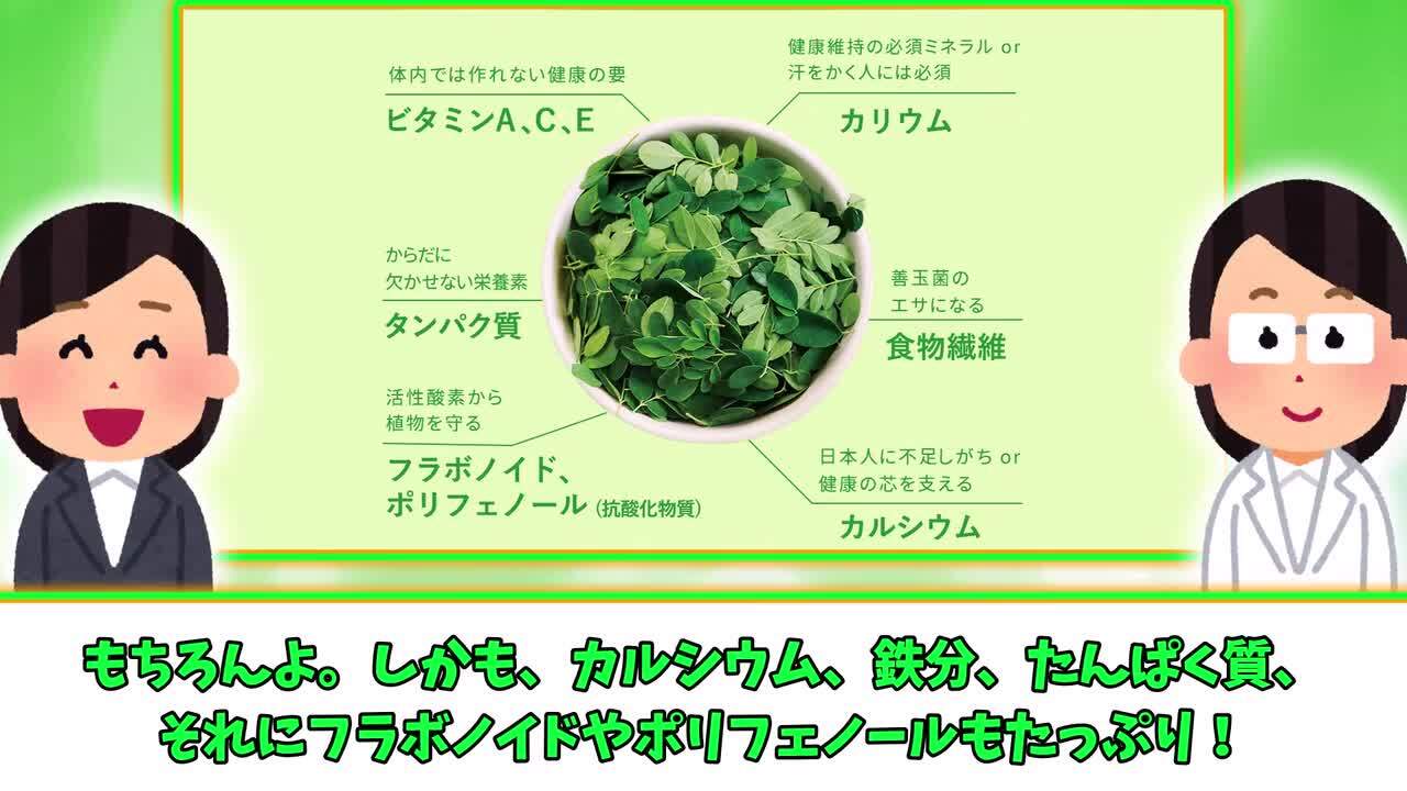 エルメス沖縄産モリンガ粒6個セット最安値 楽天市場】沖縄県産 モリンガ 粒タイプ 150粒入 読谷 保存料着色