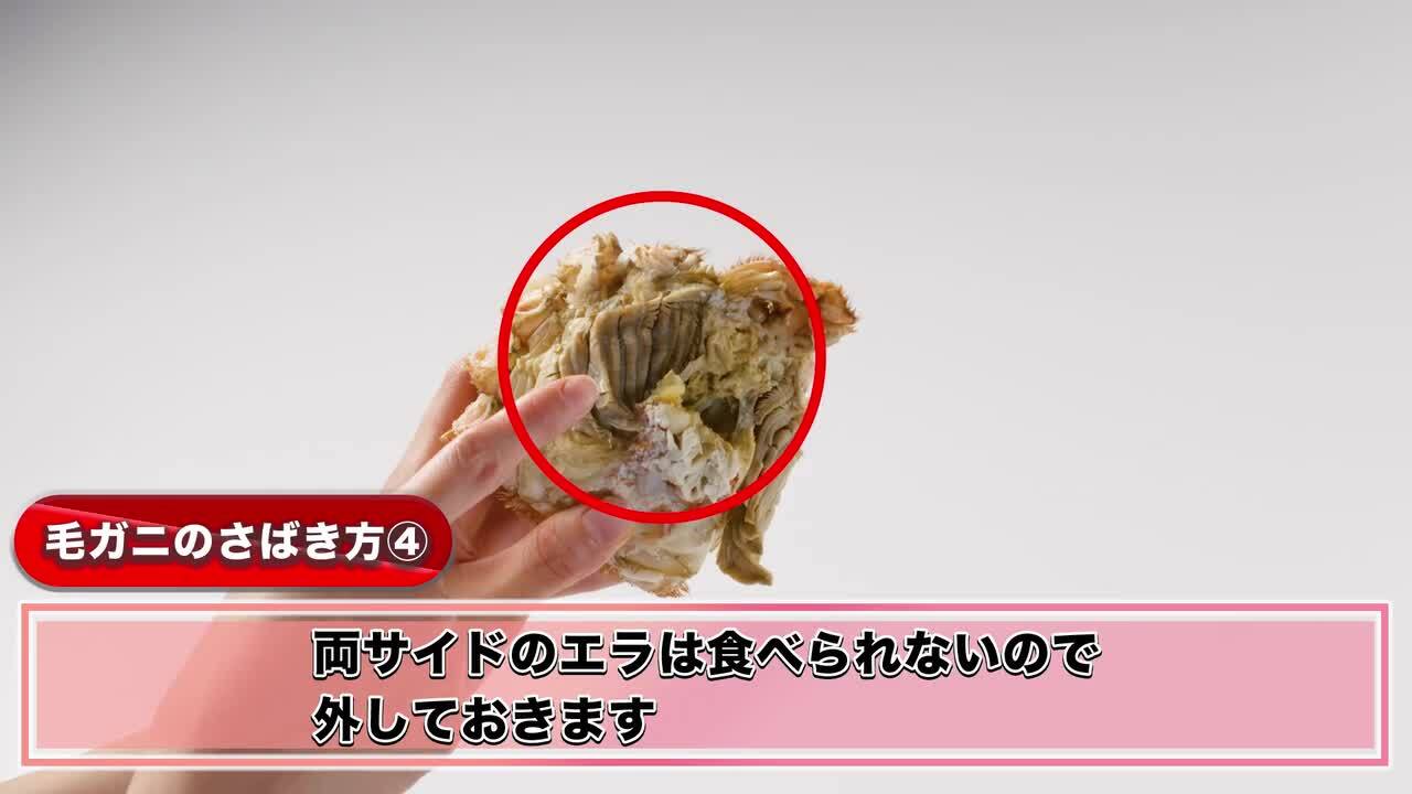 ふるさと納税 カニ 毛ガニ 北海道 えりも町 北海道産活蒸し毛蟹約250g〜約290g×2尾 er001-108-a 楽天市場】【ふるさと納税】高評価☆4.73  北海道産 活蒸し 毛がに 楽天限定 年内配送 【配送時期が選べる 通常 / 先行予約 12月 食べきりサイズ】( 選べる : 330～380g  400g ...