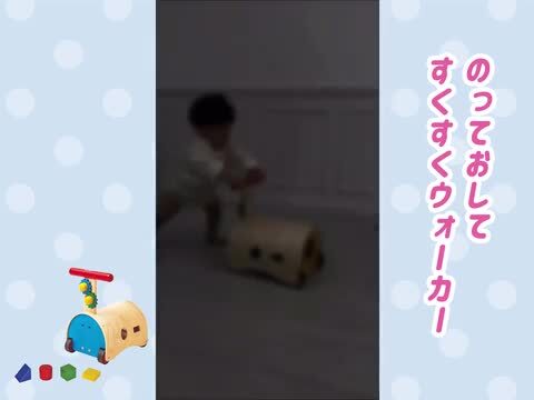 【曰く付き】　動く置物 楽天市場】【名入れ・ラッピング無料】Ed.Inter エド・インター