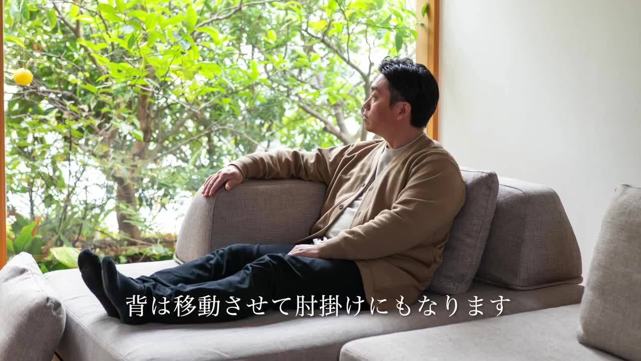 楽天市場】【標準生地】Fumi 「無駄のないソファ- ペット対応