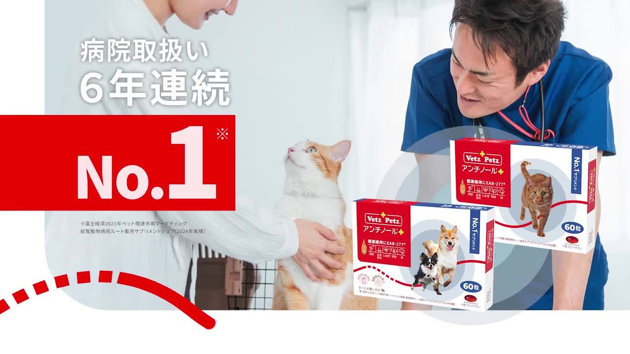 楽天市場】【公式】 アンチノール プラス ペット サプリ