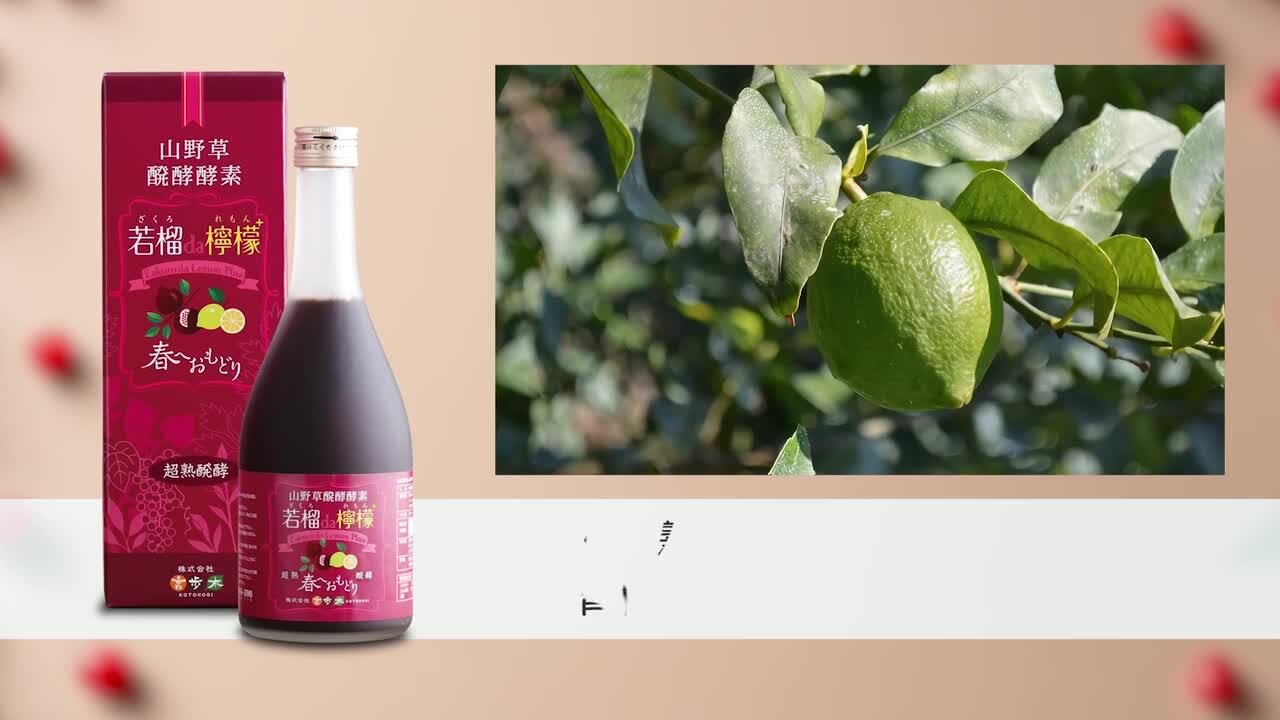 Amazon.co.jp: 山野草醗酵酵素 【女性誌で注目の自然派ザクロ