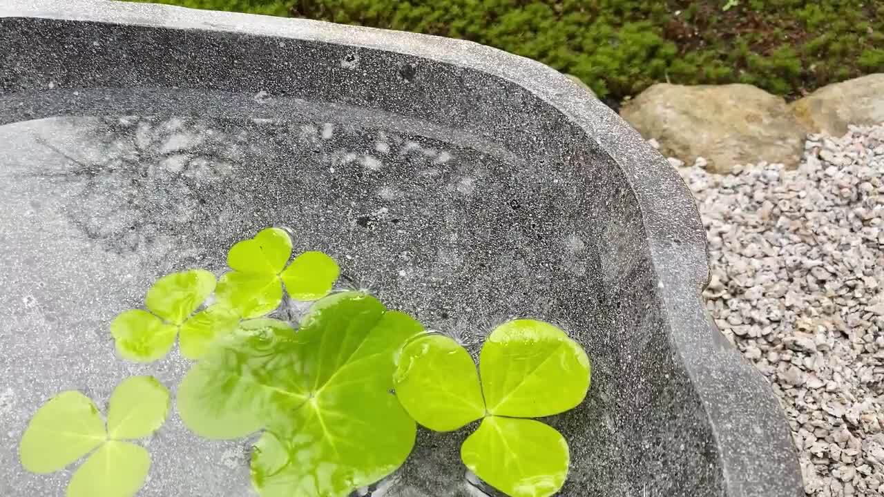 楽天市場】水鉢 つくばい 手水鉢 睡蓮鉢 大型 石 天然石 和風庭園