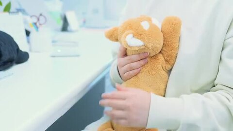 楽天市場】カイロ ぬいぐるみ ほかほかペット ぬいぐるみ