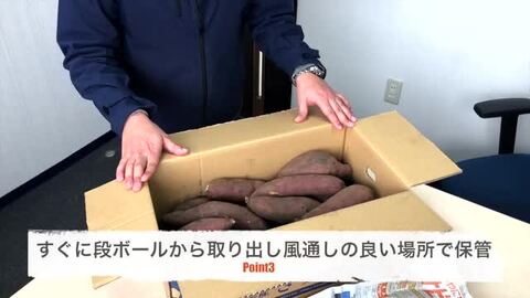 ALOHAページ♡紅はるか 71dqCWFtCsL._UF1000,1000_QL80_.jpg