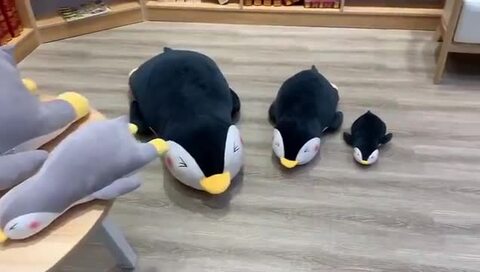 楽天市場】送料無料 100cm ぬいぐるみ 全2カラー ペンギン Penguin