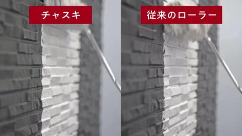 楽天市場】PIA ローラー チャスキ 最安値 50本箱 6インチ 毛丈
