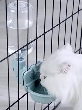 楽天市場】短納期 ペット給水器 猫 犬 自動給水器 犬 猫自動給水