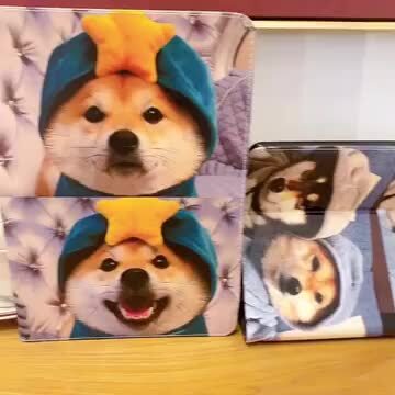 楽天市場】2022 iPad pro 11ケース 手帳型 かわいい 猫柄 2024