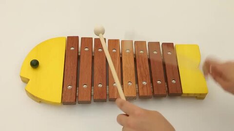 楽天市場】【包装・熨斗無料】正規品 おさかなシロフォン 黄・青