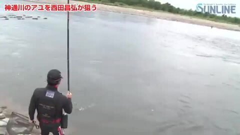 専用サンライン「ＺＸ鮎」×７個　鮎釣り　アユ釣り　友釣り 鮎 水中糸 ZX複合メタル | サンライン