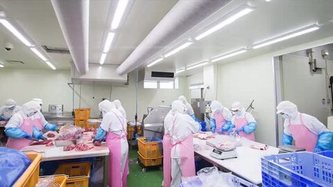 専用牛タン2セット 牧草赤身牛肉 NZ産 SFF(皮ムキ)牛タン ブロック | 業務用牛肉