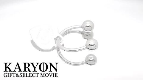TIFFANY&Co ティファニー シルバー999 Tiffany インゴット
