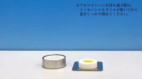 楽天市場】ECOROアロマストーン（大） : エコロショップ