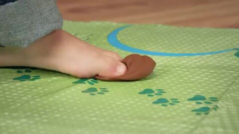 Don't Step In It! | Board Game | BoardGameGeek