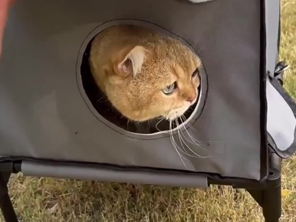 楽天市場】電気加熱ペットハウス 冬の屋外猫用高架ベース加熱