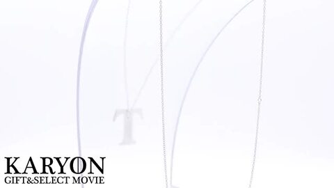 楽天市場】【ギフト品質】ティファニー Tiffany&Co ネックレス