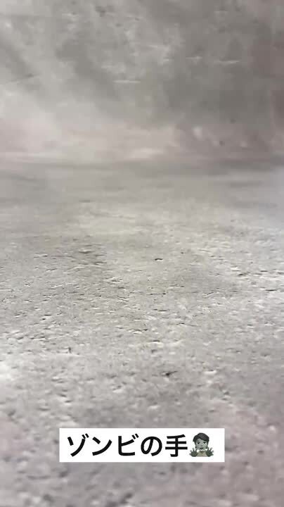 楽天市場】ウインドアップ トイ【2個セット】【全7種】 ぜんまい