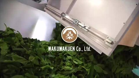 楽天市場】無添加 ( かつお 粉 選べる内容量 ) 鰹節 本枯節