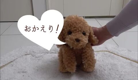 楽天市場】【365日出荷】 おしゃべりトイプードル ロボット 犬 楽天市場】【365日出荷】 おしゃべりトイプードル ロボット 犬