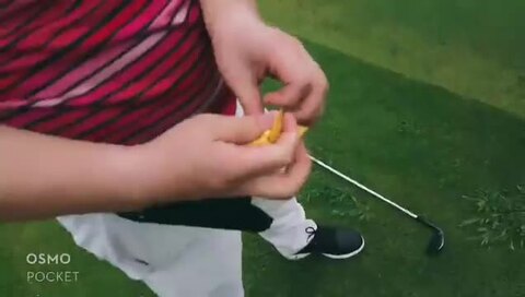 楽天市場】送料無料 ゴルフ アクセサリー GOLF ゴルフティー