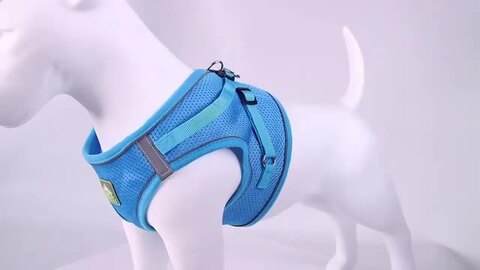 新品 苺柄 足入れハーネス＆リード ピンク セット 日本製 楽天市場】犬 リード ハーネス セット 通販 ハーネスリード 小型