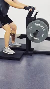 【引取限定】COMING TECH ベルトスクワット WILD FIT ベルトスクワット | 腰にベルトを装着してスクワットを行う