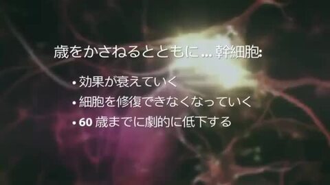 美容/健康 その他 楽天市場】【マラソンP10倍】LifeWave(ライフウェーブ)パッチX39 