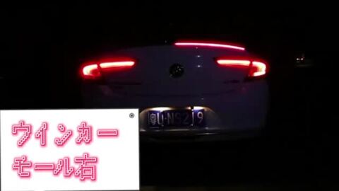 楽天市場】2024年新入荷！やわらか設計 シーケンシャル 流れる LED 車用 ledシリコンチューブテープ LEDテープライト ブレーキ灯  ストップ灯 テールライト ブレーキランプ ブレーキライトレッド/赤 横一直線 横一文字 ストレート 側面発光 １本 l : ハートシステム