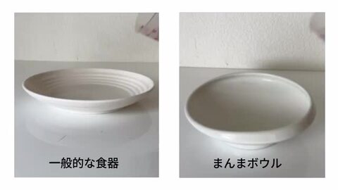 楽天市場】【11日1:59迄 最大500円OFFクーポン配布中】食べ