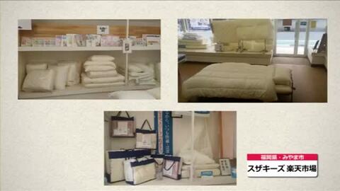 楽天市場】【アレルギー対応/洗える掛け布団】スザキーズデュエット