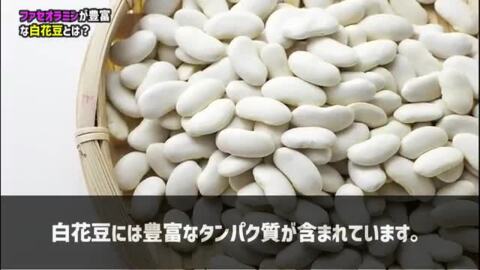 楽天市場】白花豆 200g 豆力 北海道産 白花美人 白インゲン 花豆