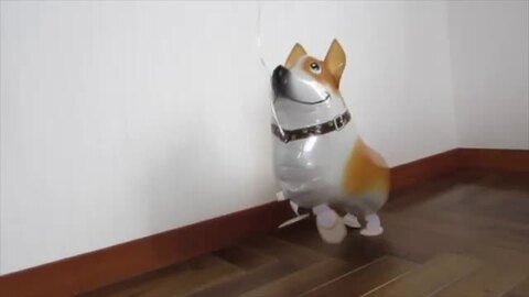 クーポン配布中 交換無料 お散歩バルーン パピーコーギー 9l 10袋セット 正規激安 Www Centrodeladultomayor Com Uy