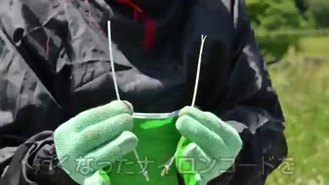 楽天市場】【6/16〜6/20限定☆早い者勝ち！数量限定クーポン配布
