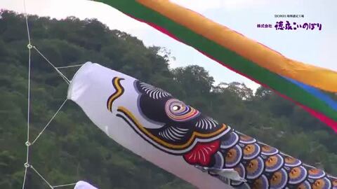 鯉のぼり　4M　黒ゴールド　金太郎　こいのぼり　新品未使用品　管理番号0103 徳永 鯉のぼり （ポール別売） 金太郎ゴールド鯉セット 4m7点セット